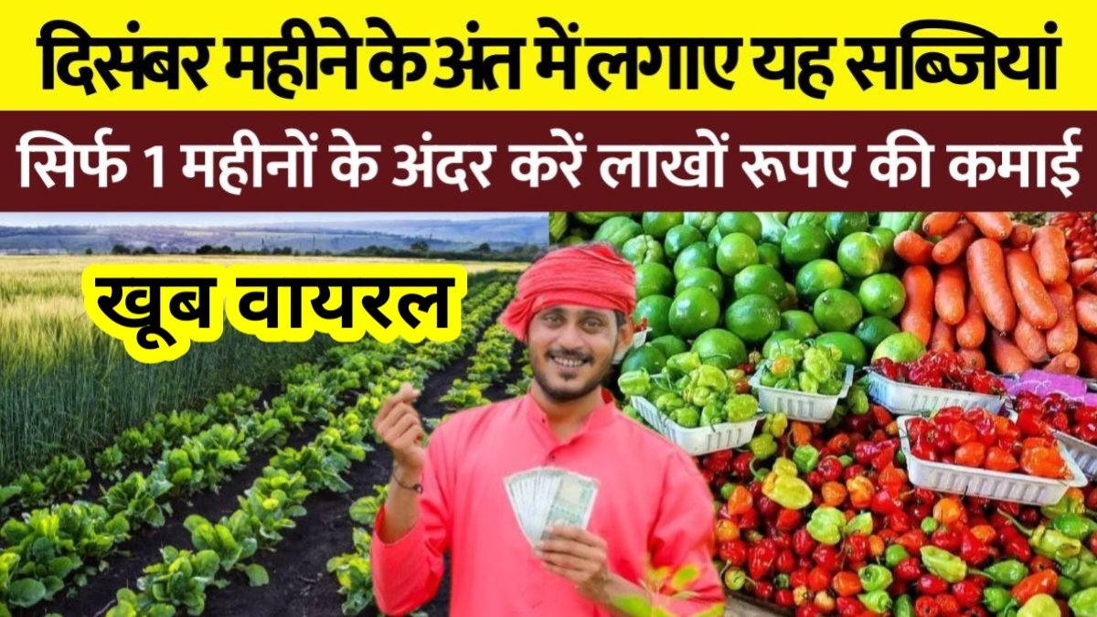 Vegetable Farming Profit December