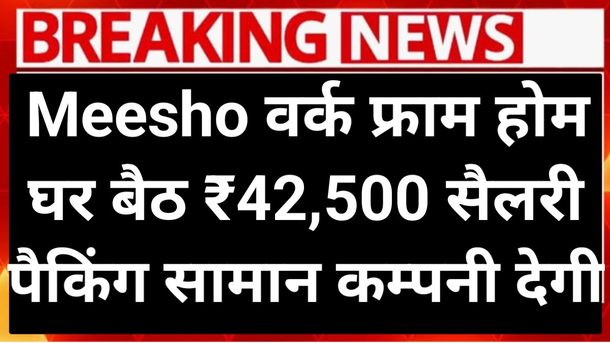 Meesho Work From Home