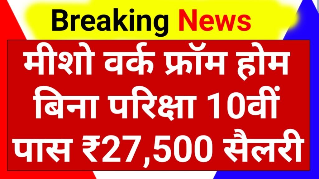 Meesho Work From Home