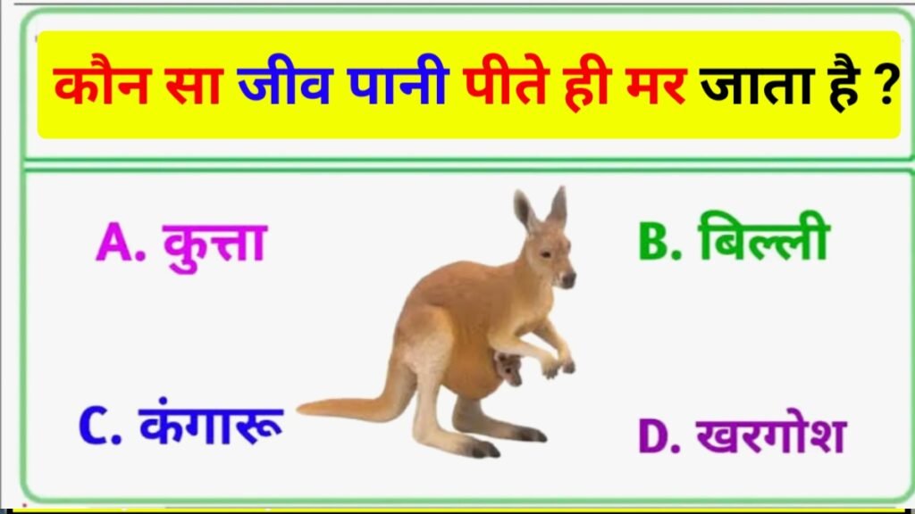 GK Question in Hindi